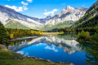 La végétation alpine devient de plus en plus verte. (image d'illustration)